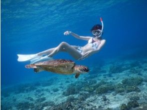 プランの魅力 游览期间可以进行皮肤潜水 の画像