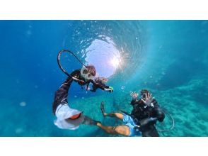 プランの魅力  の画像