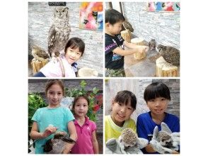 プランの魅力 Owl contact experience is OK with children の画像