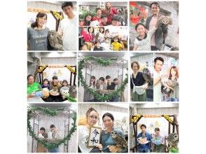 プランの魅力 Our staff will also help and support customers who visit the owl cafe / animal cafe for the first time. の画像