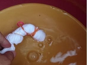 プランの魅力 Soak in soil dyeing liquid の画像