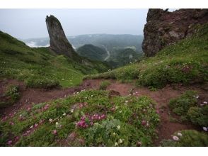 プランの魅力 コース写真11 の画像