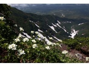 プランの魅力 コース写真16 の画像