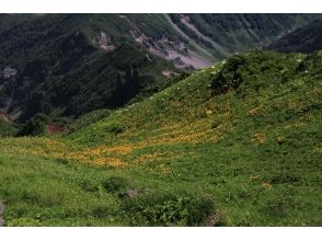 プランの魅力 コース写真17 の画像