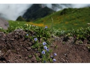 プランの魅力 课程图片18 の画像