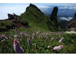 プランの魅力 课程图片25 の画像