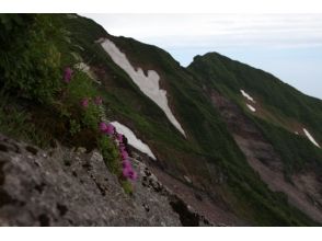 プランの魅力 コース写真9 の画像