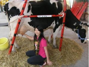 プランの魅力 1. Milking experience の画像