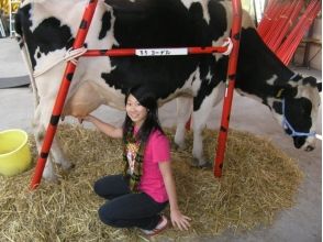 プランの魅力 1. Milking experience の画像