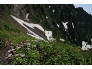 プランの魅力 สนามรูปภาพ 5 の画像