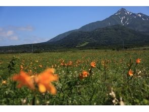 プランの魅力 코스 사진 1 の画像