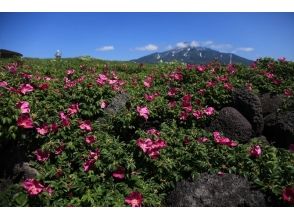 プランの魅力 코스 사진 3 の画像