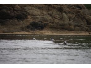 プランの魅力 สนามรูปภาพ 8 の画像