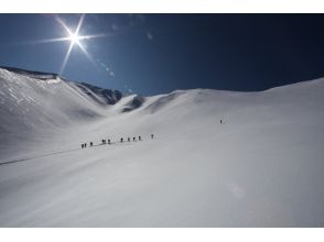 プランの魅力 코스 사진 2 の画像