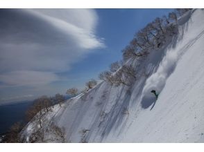 プランの魅力 Course picture 4 の画像