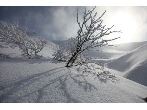 プランの魅力 コース写真8 の画像