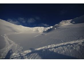 プランの魅力 코스 사진 11 の画像