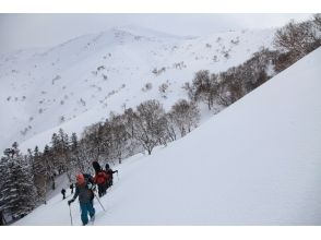 プランの魅力 课程图片14 の画像