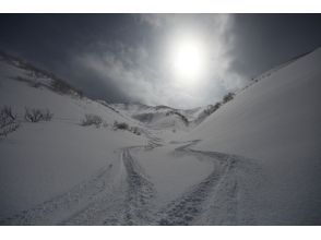 プランの魅力 코스 사진 15 の画像