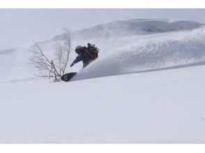 プランの魅力 コース写真18 の画像