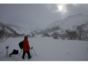 プランの魅力 コース写真1 の画像