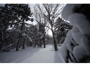 プランの魅力 コース写真3 の画像