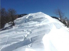 プランの魅力 綺麗な雪山と足跡 の画像