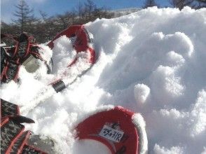 プランの魅力 ふわふわの雪 の画像