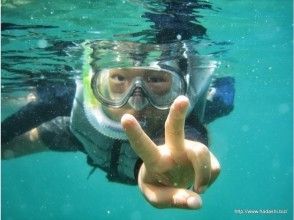 プランの魅力 바다 속을 엿보세요! の画像