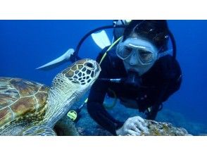 プランの魅力 You can take a commemorative photo with a sea turtle !? の画像