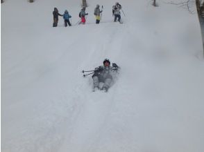 プランの魅力 大人気のそりあそび の画像