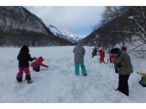 プランの魅力 snowball fight time の画像