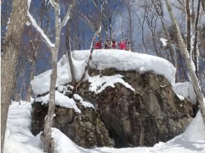 プランの魅力 huge rock の画像