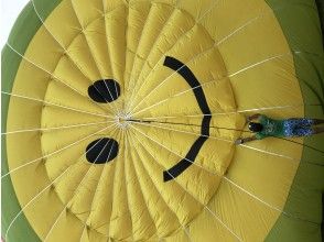 プランの魅力 降落伞是一个可爱的尼古陈的标记 の画像