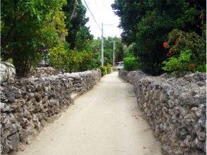 プランの魅力 Walking around the island where old-fashioned houses lined up の画像