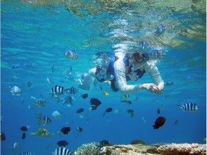 プランの魅力 気軽にパナリ島でシュノーケル体験が楽しめる! の画像