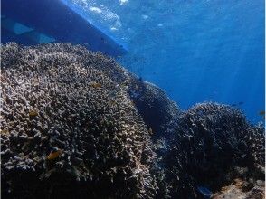 プランの魅力 在自己喜歡的位置，豪華的計劃游泳在任何時間！ の画像