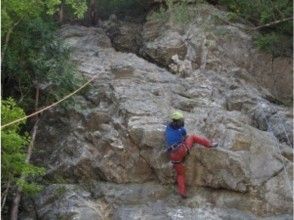 プランの魅力 還有一條高級路線 の画像