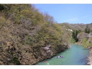 プランの魅力 自然と触れ合おう! の画像