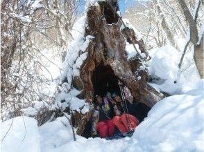 プランの魅力 雪遊び体験と雪景色の美しさをギュット凝縮し、半日で手軽に楽しめるツアーです。 の画像