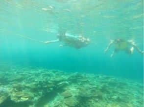 プランの魅力 他では珍しい泳ぎ釣りをお楽しみください♪ の画像