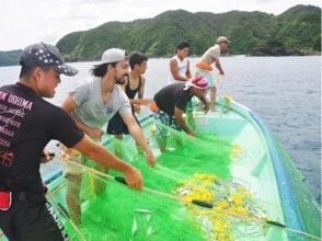 プランの魅力 みんなで協力しよう！ の画像