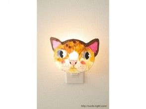 プランの魅力 Cat night light の画像