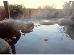 プランの魅力 With hot spring bathing ticket! の画像