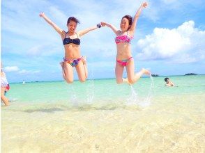 プランの魅力 ウミガメも見れますよ！ の画像