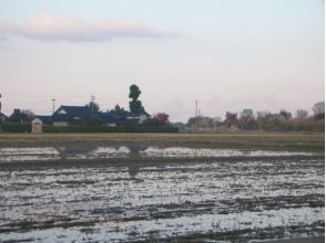 プランの魅力 緑豊かな屋敷林に囲まれた家々が点在する典型的な散居集落 の画像