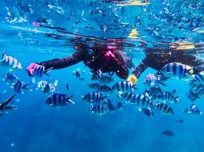 プランの魅力 喜歡餵魚♪ の画像