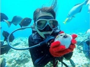 プランの魅力 海の生き物ともハイチーズ♪ の画像