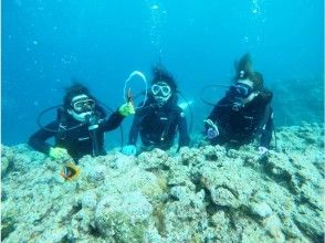 プランの魅力 一次表演的泡泡圈给人留下深刻的印象♪ の画像