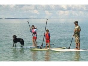 プランの魅力 ทิวทัศน์ล่องเรือแม่น้ำโอตากาวะ の画像